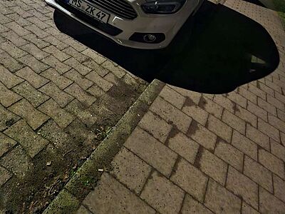 Ford S-Max 2.0 TDCi Aut. Titanium