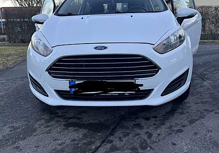 Ford Fiesta Courier Family