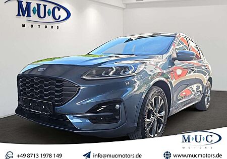 Ford Kuga 2.0 EcoBlue 4x4 Aut ST-LINE~HuD~WinterPaket