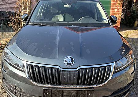 Skoda Karoq 2.0 TDI SCR 4x4 DSG Style
