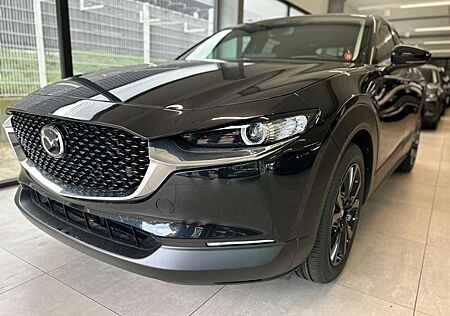 Mazda CX-30 Homura 140 PS *Kamera*Navi*LED*Neuwagen*