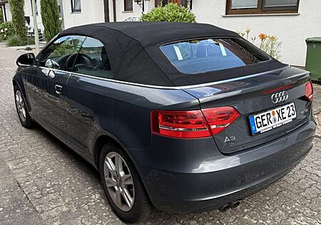 Audi A3 Cabriolet 1.9 TDI DPF Attraction