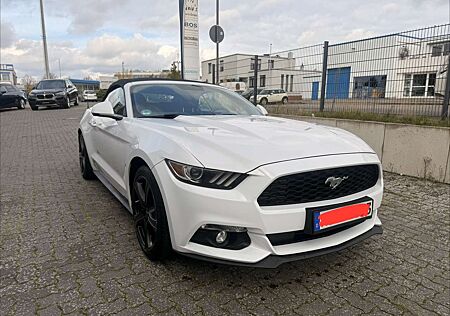 Ford Mustang Basis Convertible