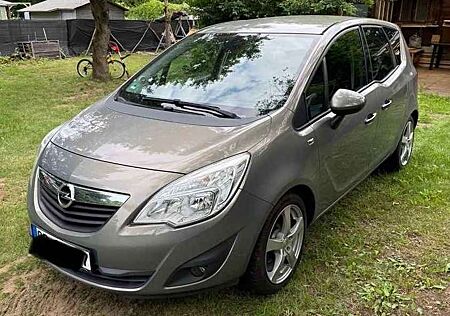 Opel Meriva 1.4 ecoflex Design Edition