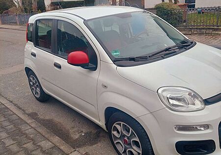 Fiat New Panda My style