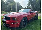 Ford Mustang Cabrio V8 Aut. GT Shelby Cobra Jet 540 PS