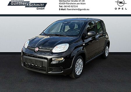 Fiat Panda 1.0 Pandina