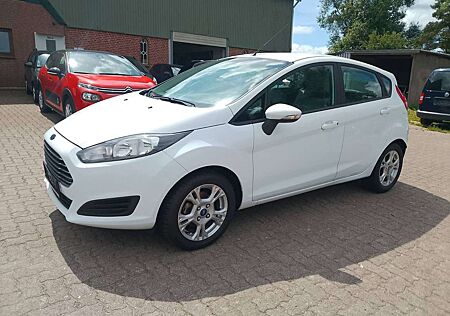 Ford Fiesta 1.0 EcoBoost 80.000km