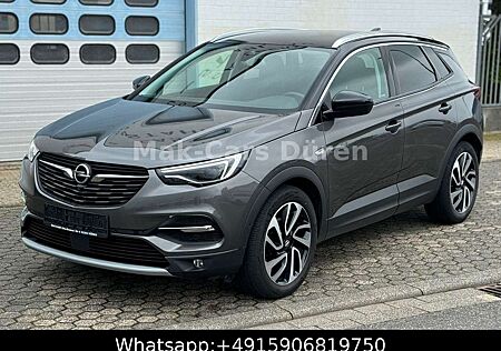 Opel Grandland X /Business Innovation/Navi/Kamera/E6
