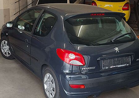 Peugeot 206 + 60