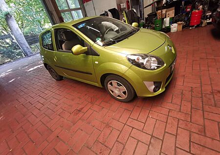 Renault Twingo 1.2 16V Rip Curl