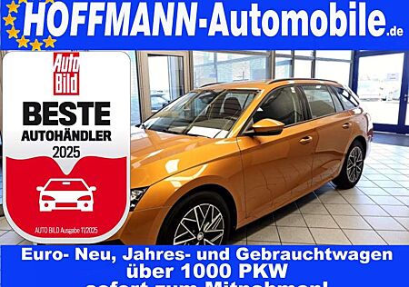 Skoda Octavia Ambition Climatr.,Alu 17Z,Sitzhzg.