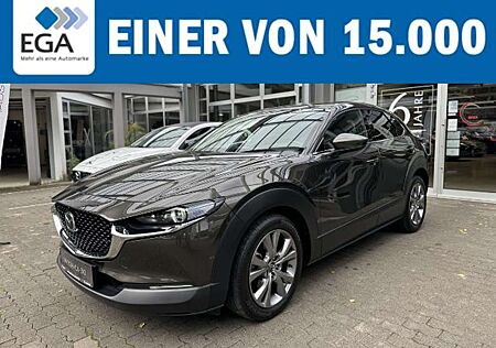 Mazda CX-30 150PS - AHK, Allrad - Matrix LED, BOSE, LEDER, 360