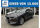 Mazda CX-30 150PS - AHK, Allrad - Matrix LED, BOSE, LEDER, 360