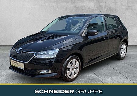 Skoda Fabia Ambition 1.0 TSI 7-Gang DSG RFK+SHZ+TEMPO