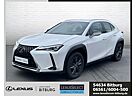 Lexus UX 250h Launch Edition Navi /FLA/ACC/LED/KlimaA