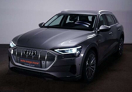 Audi e-tron 95 kWh 55 Quattro ACC/Kamera/KeyLess/SHZ