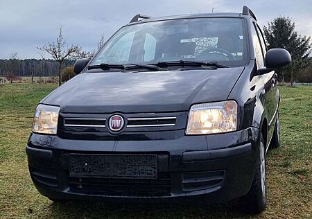 Fiat Panda +1.2+Dynamic