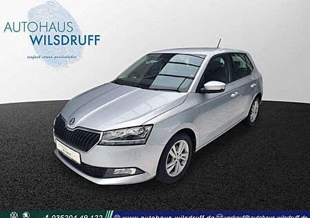 Skoda Fabia 1.0 TSi Ambition*DAB*KLIMA*Sitzheizung*