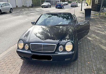 Mercedes-Benz CLK 200 gebraucht kaufen Mercedes-Benz CLK 200 CLK Cabrio 200 Kompressor Avantgarde