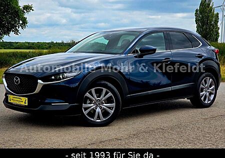Mazda CX-30 Selection*1VB*MATRIX*KEYLESS*HUD*LHZ*FSH*