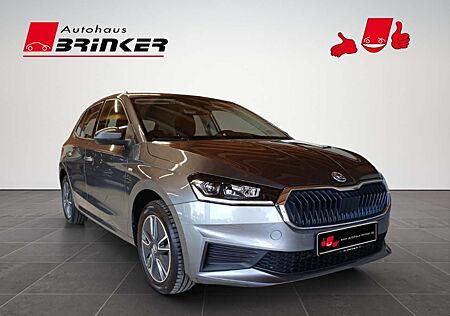 Skoda Fabia Tour 1.0 TSI EU6d LED Sperrdiff. Apple CarPlay And