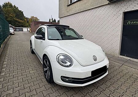 VW Beetle gebraucht kaufen VW Beetle Volkswagen Lim. Sport TÜV NEU*PANO*S.HEFT VOLL