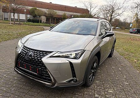 Lexus UX 250h Executive Line
