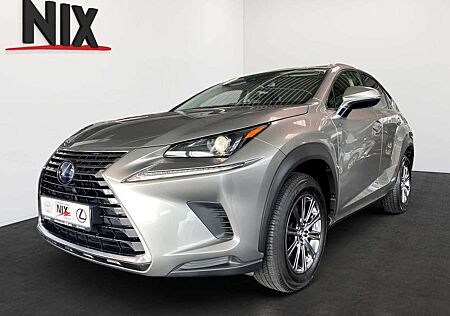 Lexus NX 300 NX 300h 2.5 Hybrid Amazing Edition SHZ LED