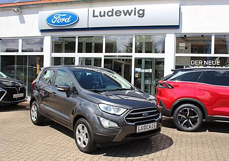 Ford EcoSport Trend Winterpaket PDC