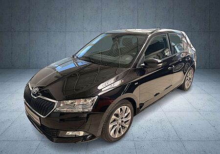 Skoda Fabia Clever 1.0 TSI DSG Rückfahrkamera Einparkhilfe