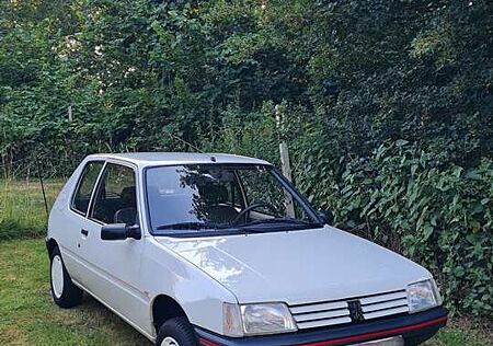 Peugeot 205 Look