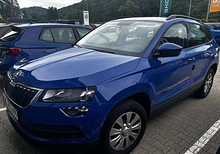 Skoda Karoq Active