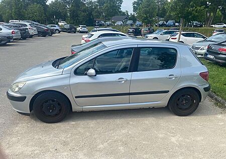 Peugeot 307 90 Grand Filou Cool