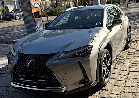 Lexus UX 250h Luxury Line