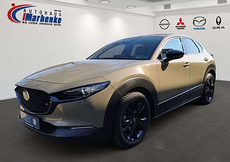 Mazda CX-30 e-SKYACTIVE G 140 Aut. NAGISA, AHK, GJR