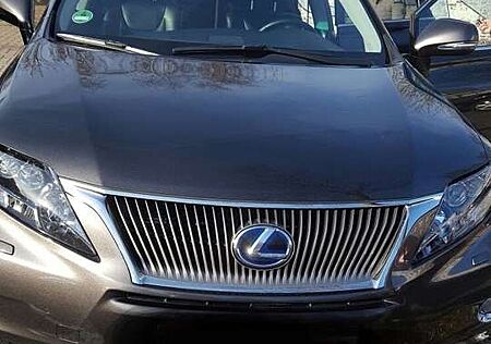 Lexus RX 450h (hybrid) Ambience Line