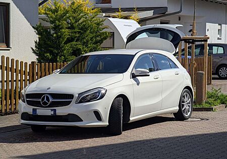 Mercedes-Benz A 250 BlueEfficiency (176.044)