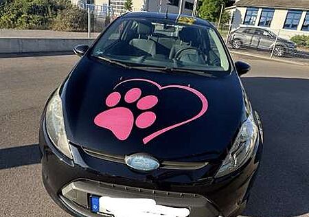 Ford Fiesta 1.25 Ambiente