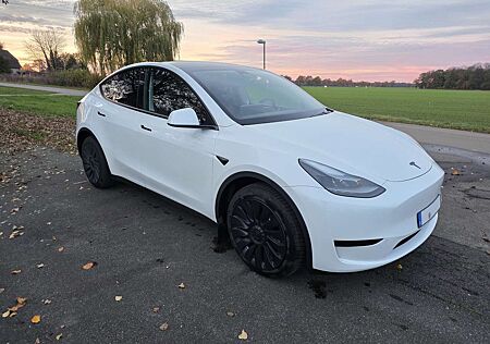 Tesla Model Y 299PS, RWD, LFP, AHK, Matrix-LED, MiG, SoH 98%