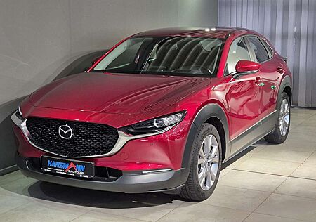 Mazda CX-30 Selection G-122/AT/Pemium-P./Navi/Head-Up/360 Grad