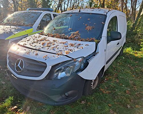 Mercedes-Benz Citan Citan 108 CDI lang WORKER