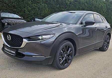 Mazda CX-30 2.0 e-SKYACTIV X 186 AT AWD Homura