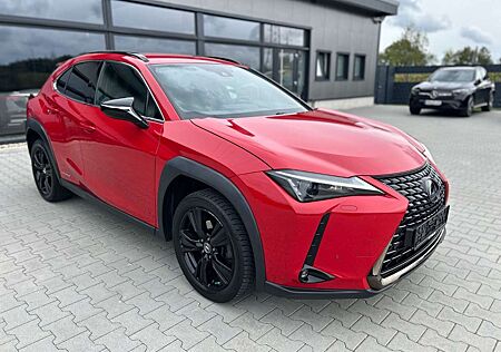 Lexus UX 250h Style & Edition - ACC-Totwinkel-DAB