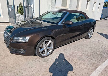 Audi A5 Cabriolet 2.0 TFSI quattro Lederausstattung