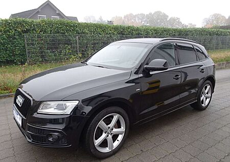 Audi Q5 2.0 TDI 140kW S-Line / Navi /Xenon/ Shz