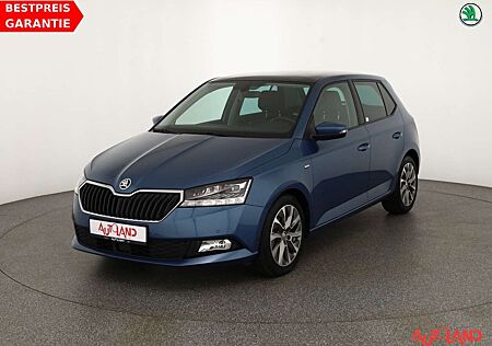 Skoda Fabia 1.0 TSI Clever LED Navi ACC Panorama DAB