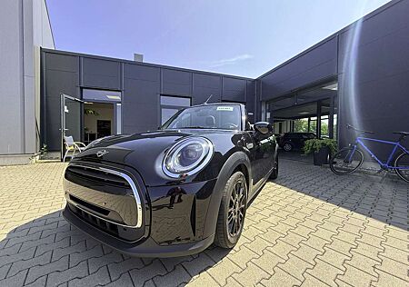 Mini One Cabrio Essential Trim