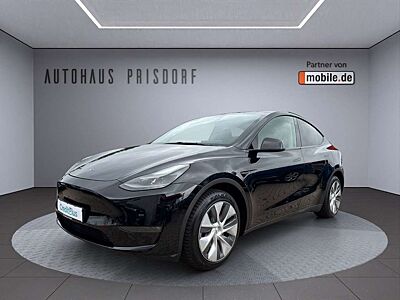 Tesla Model Y Long Range Dual AWD AMD Ryzen