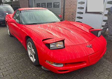 Chevrolet Corvette C5 5.7 Cabrio Cabrio Manuelle Schaltung
